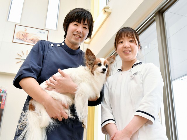 王寺動物病院 株式会社エム ティ エム お仕事サーチ